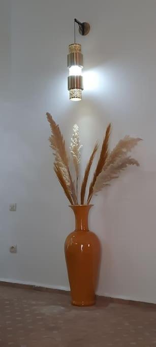 Riad Cosy Marakéš Exteriér fotografie